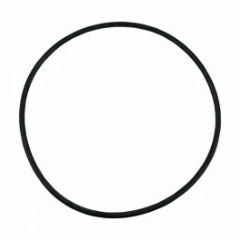 Joint Torique Pour Cuve De Filtre à Sable Intex 4 M³/h 1 Joint Torique Pour Cuve De Filtre à Sable Intex 4 M³/h