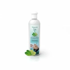 Parfum De Spa à Base D'huiles Essentielles D'Eucalyptus Et Menthe 250 Ml -piscine Soldes parfum spa huiles essentielles eucalyptus menthe camylle 250 ml 2