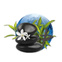 Parfum De Spa à Base D'huiles Essentielles Orient 250 Ml -piscine Soldes parfum spa huiles essentielles orient camylle 250 ml 2